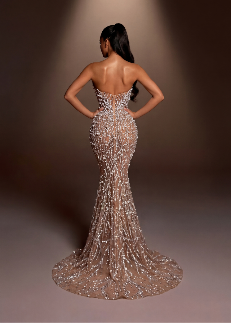 Champagne Stardust Crystal Gown